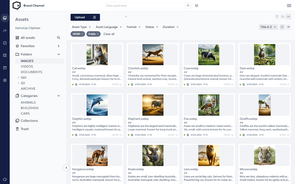DemoUp Cliplister's gallery view with a grid of animal images, plus related metadata, categories, and filter options for efficient asset management.