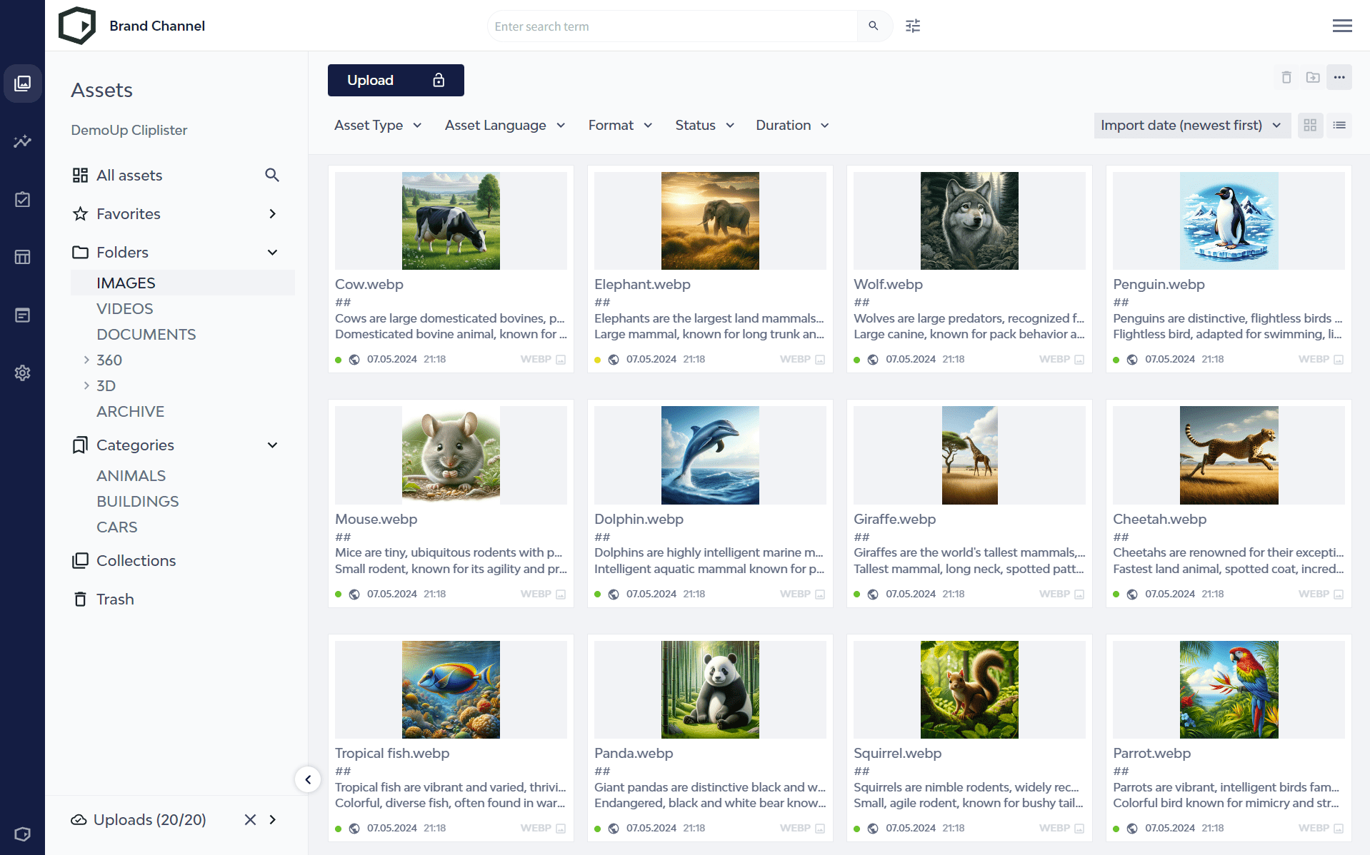The gallery view of the Brand Channel acting as a central content hub.